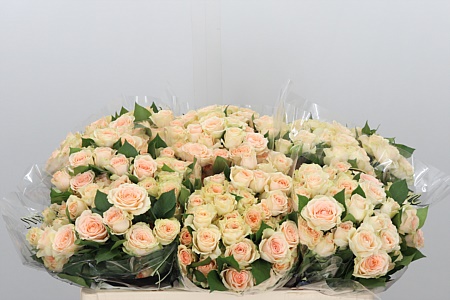 R Tr Sancerre afpriko