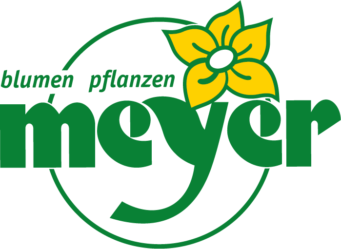 Zur Startseite gehen