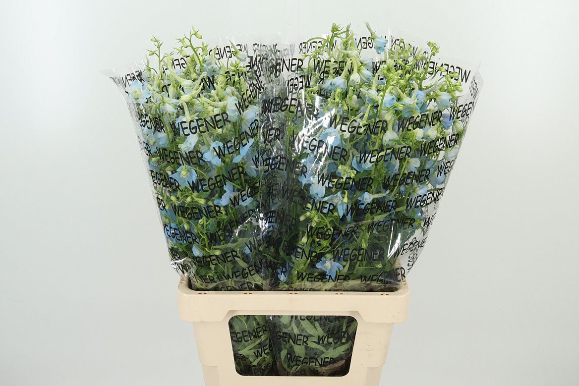 Delphinium blau Ballkleid